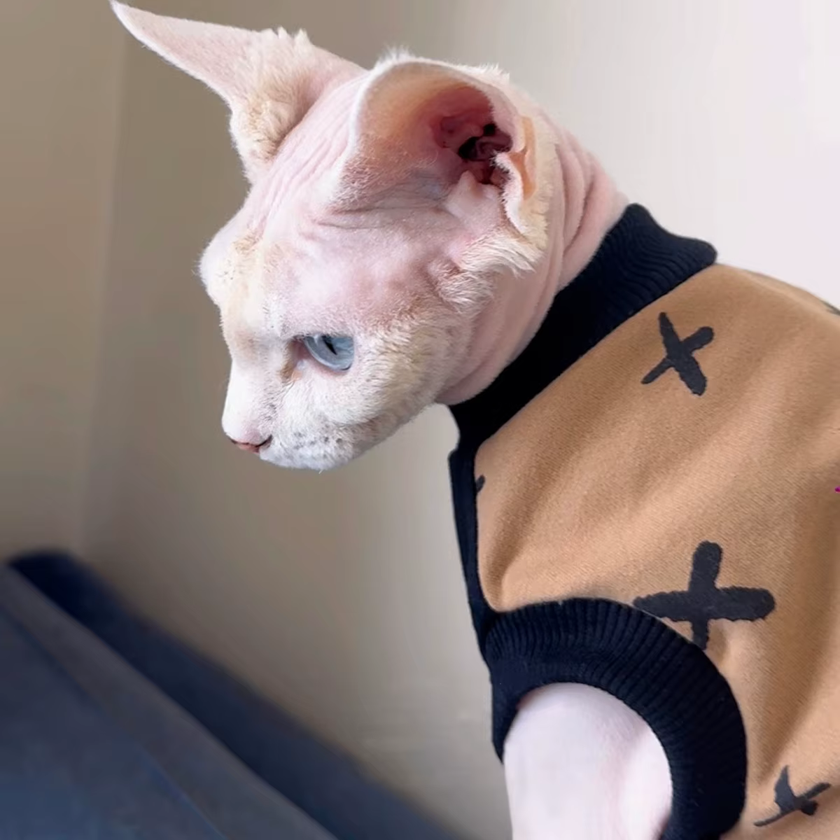 Chaleco suave para gatos Sphynx y Devon Rex - Ropa de primavera y otoño - imagen 2