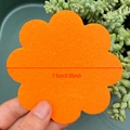 orange7.5cm x 20pcs