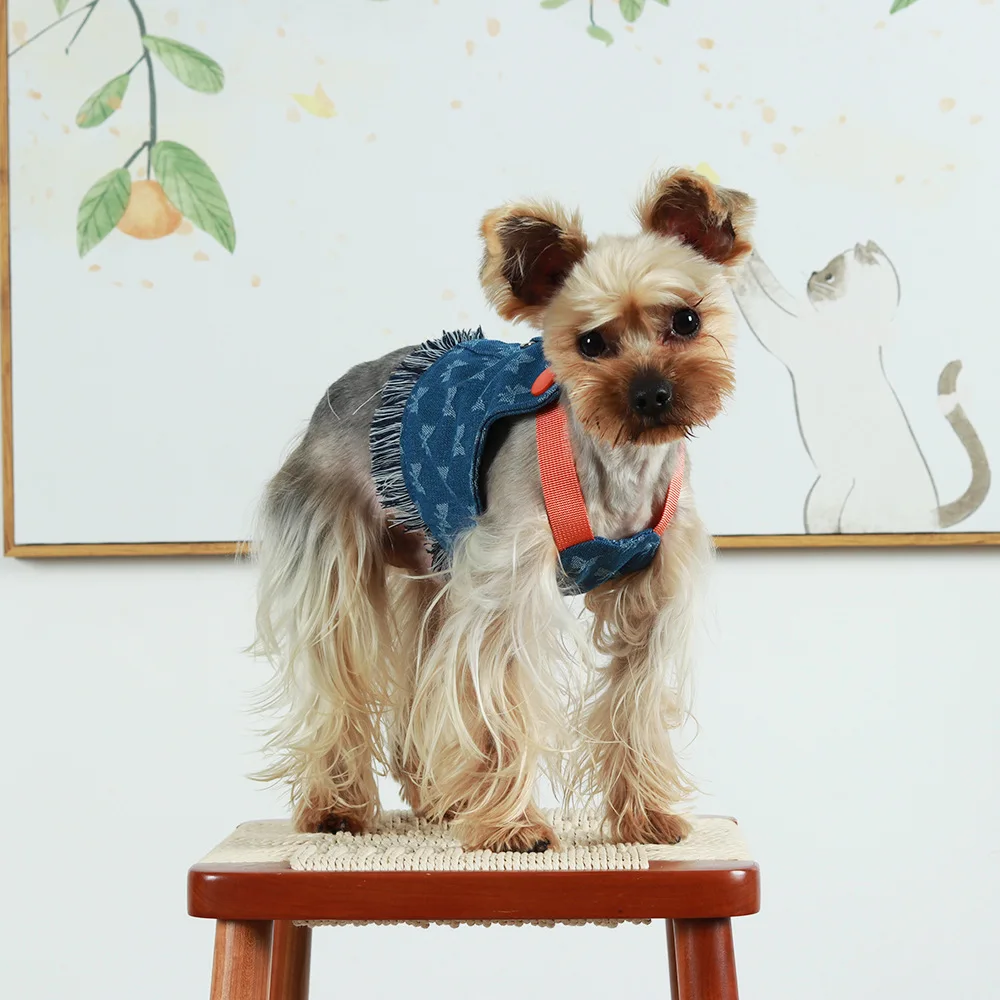 Nuevo Juego de arnés y correa para perros pequeños, chaleco vaquero lavado oscuro para cachorros, arnés con borlas, pantalones vaqueros para mascotas, arnés de mariposa - imagen 4