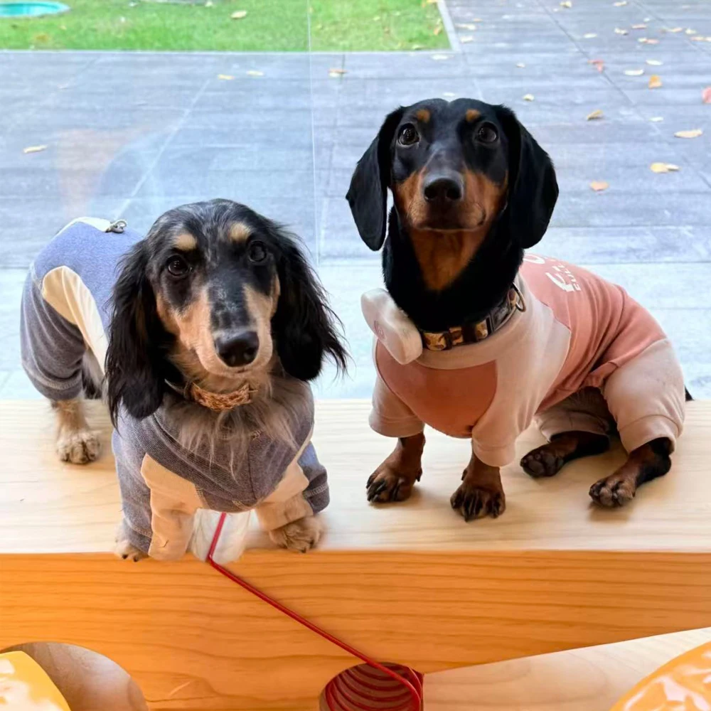 Mono suave elástico ajustable para perro salchicha – Primavera otoño - imagen 5