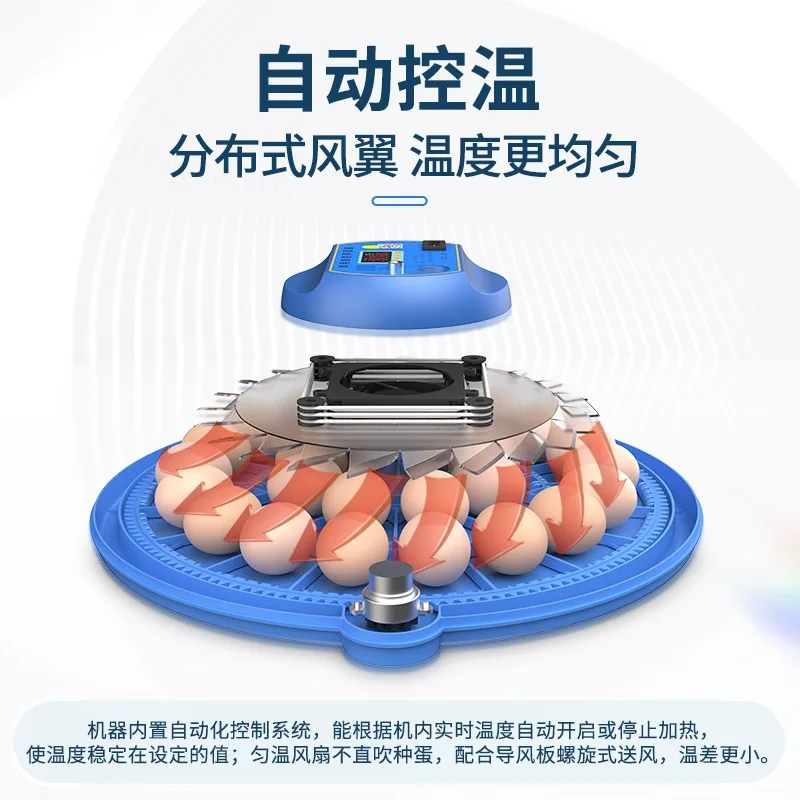 Incubadora doméstica automática pequeña para huevos de loros y aves - imagen 3