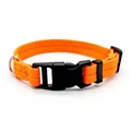Orange dog collar