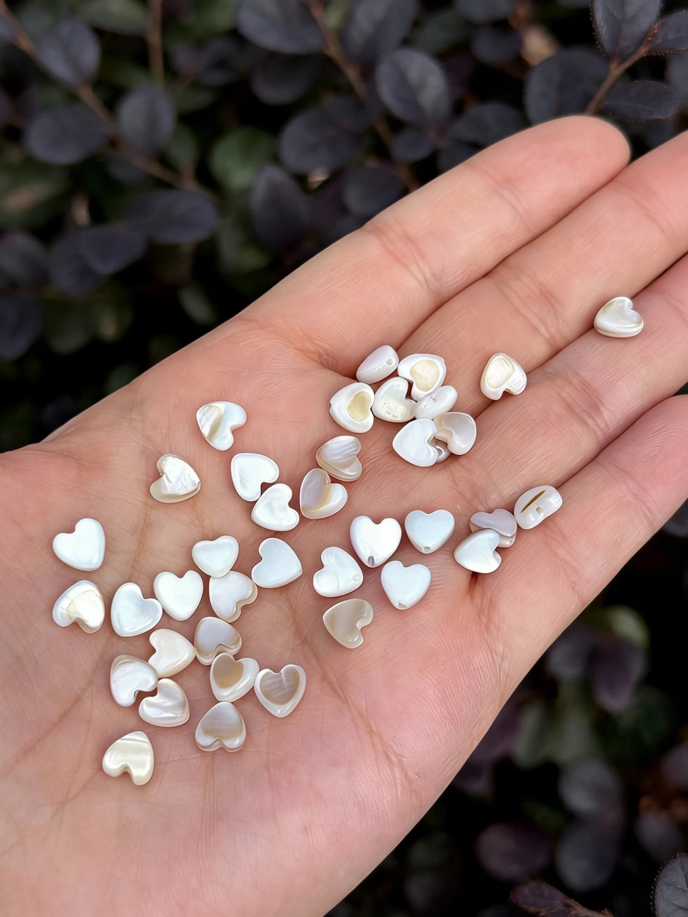 Colgante corazón concha blanca natural elegante para gatos y perros