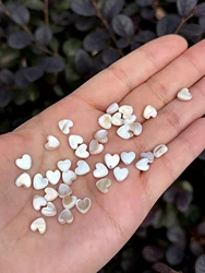 Colgante corazón concha blanca natural elegante para gatos y perros
