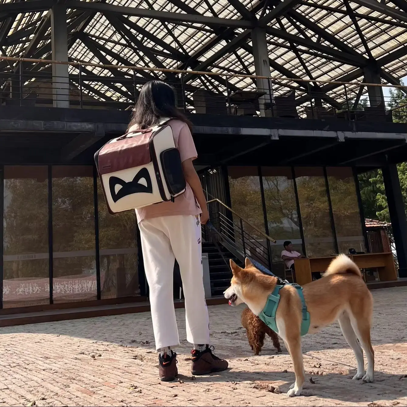 PEDFULED Mochila expandible para mascotas de cuero PU premium Aberturas laterales de doble cara, panel trasero expandible Ideal para gatos y perros pequeños - imagen 3