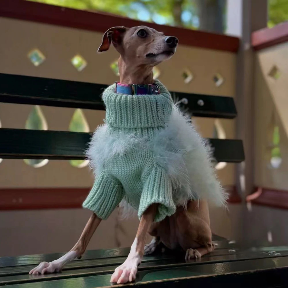Suéter de felpa verde para Galgo Italiano y Whippet, cálido invierno - imagen 2