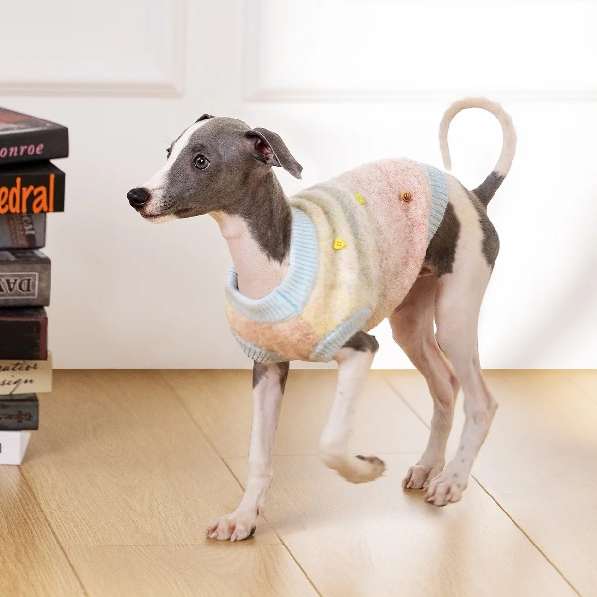 Ropa para perros y dueños, chaleco de punto a rayas para perros de compañía con suéter humano, prendas de punto de arcoíris para mascotas, suéteres a juego para perros y propietarios - imagen 5