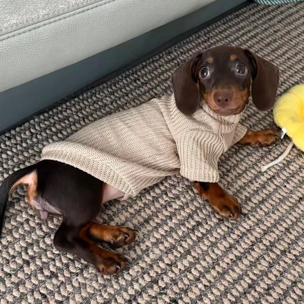 Suéter de punto de invierno para perros tejón, ropa de descanso de otoño para perros Wiener, chaleco de invierno, traje para perros pequeños salchicha - imagen 2