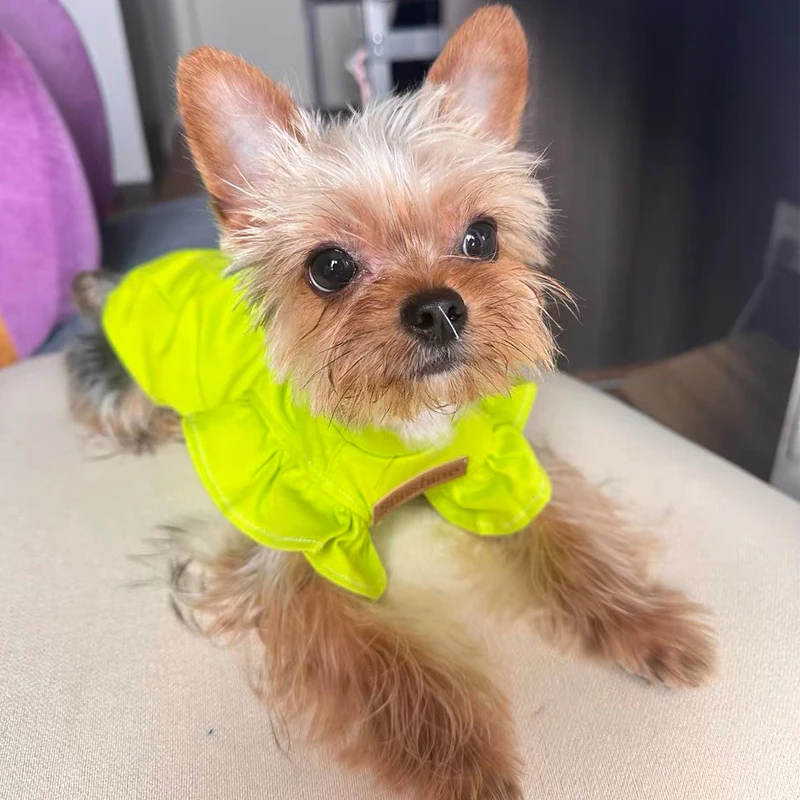 Ropa para perros pequeños de primavera y verano para Schnauzer Teddy YorkShire, disfraz sin mangas para perros, Jersey suave, traje para cachorros - imagen 2