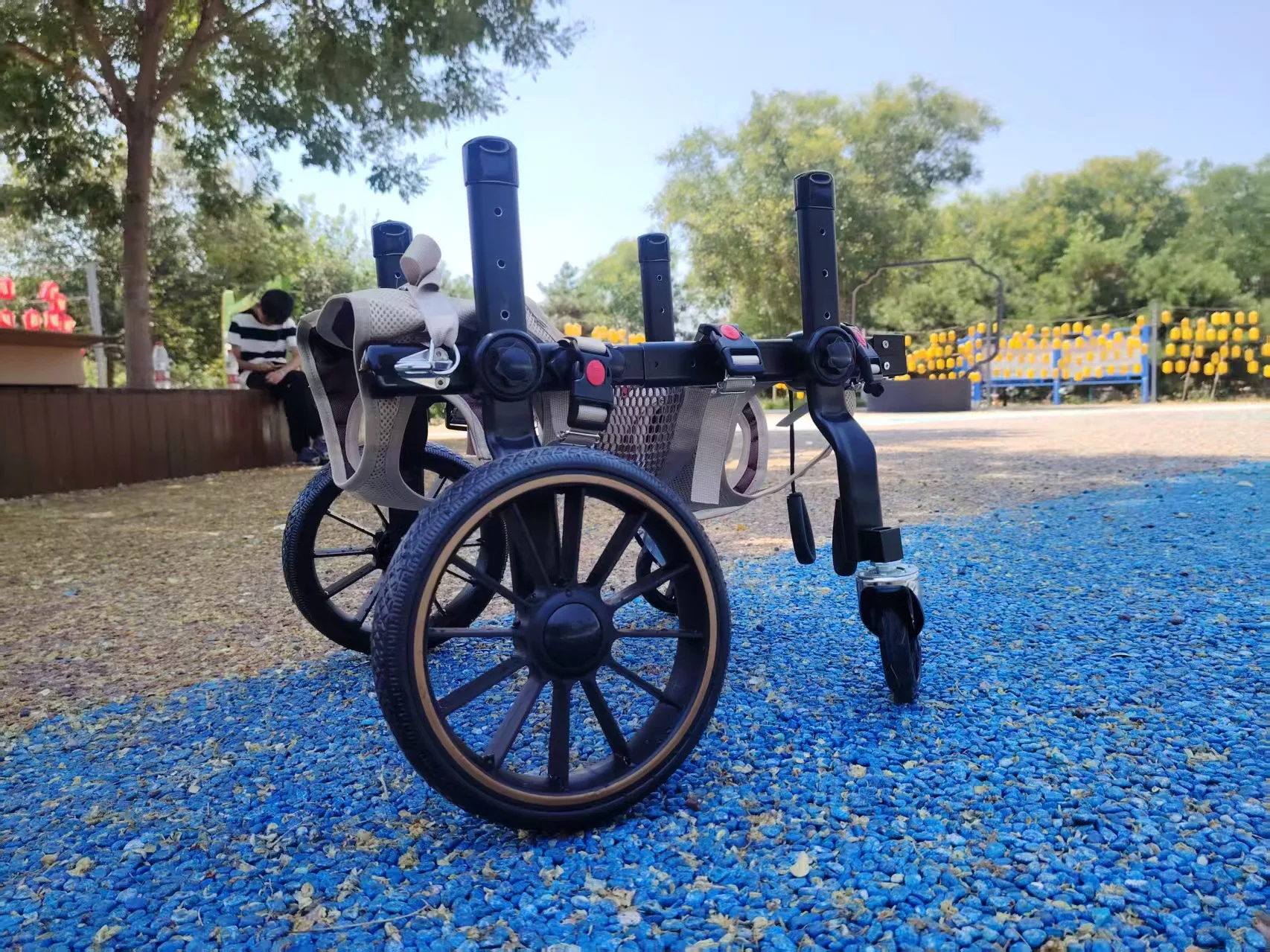 Paseo con seguridad