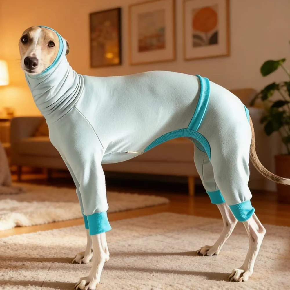 Abrigo de algodón para galgo italiano y Whippet – Cuello alto primavera y otoño - imagen 2