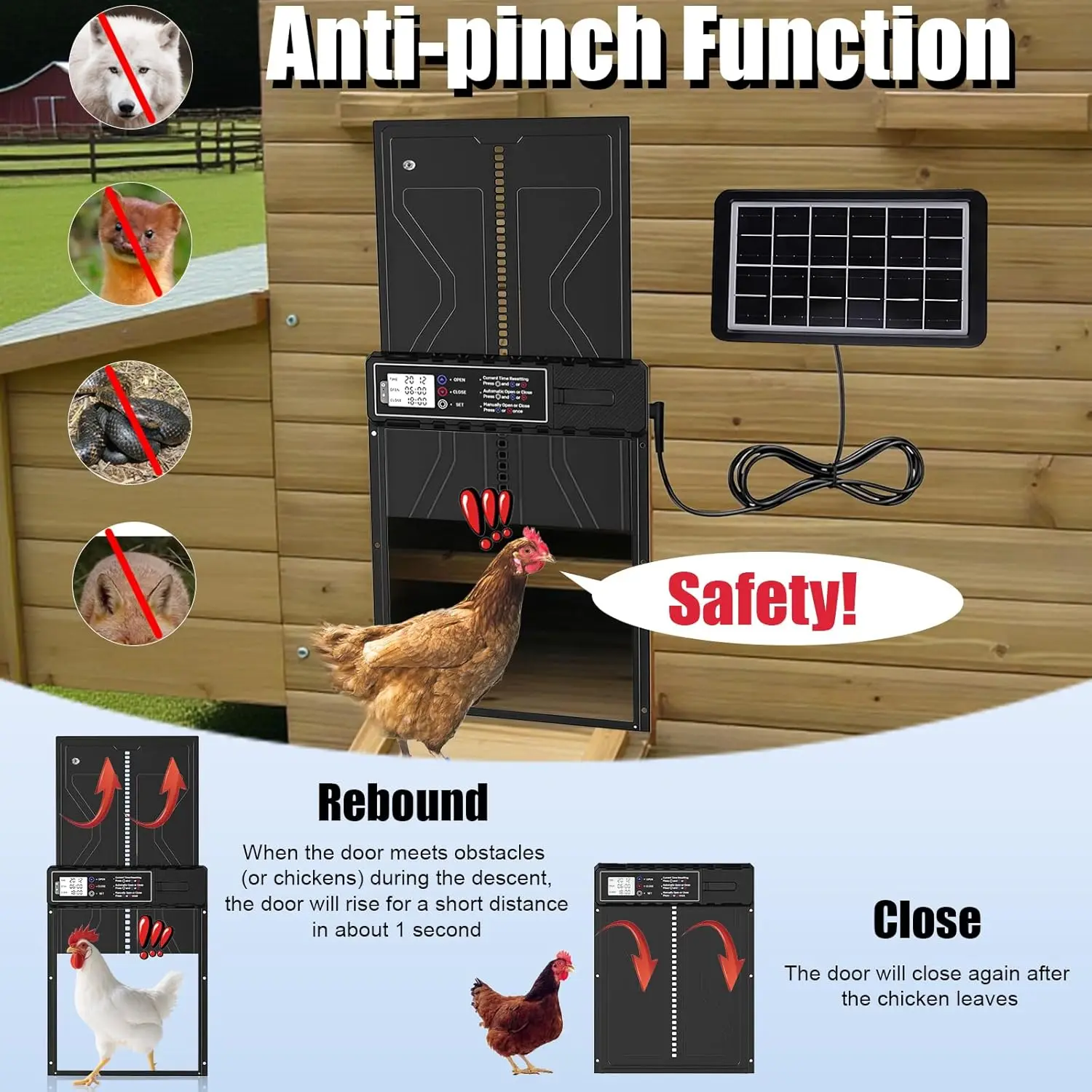 Puerta automática para gallinas con energía solar y control remoto - imagen 3