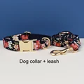 collar and leash set