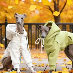 Abrigo con capucha para galgo italiano – Cálido para invierno