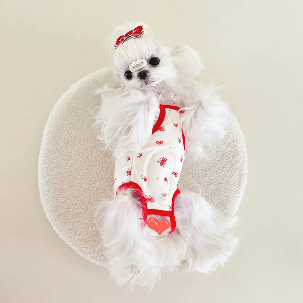 Ropa de otoño e invierno para perros y gatos, mangas voladoras de felpa, bolsa para el hogar, ropa de cuatro patas para el vientre, pijamas para perros, ropa para cachorros