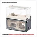 One set ant farm