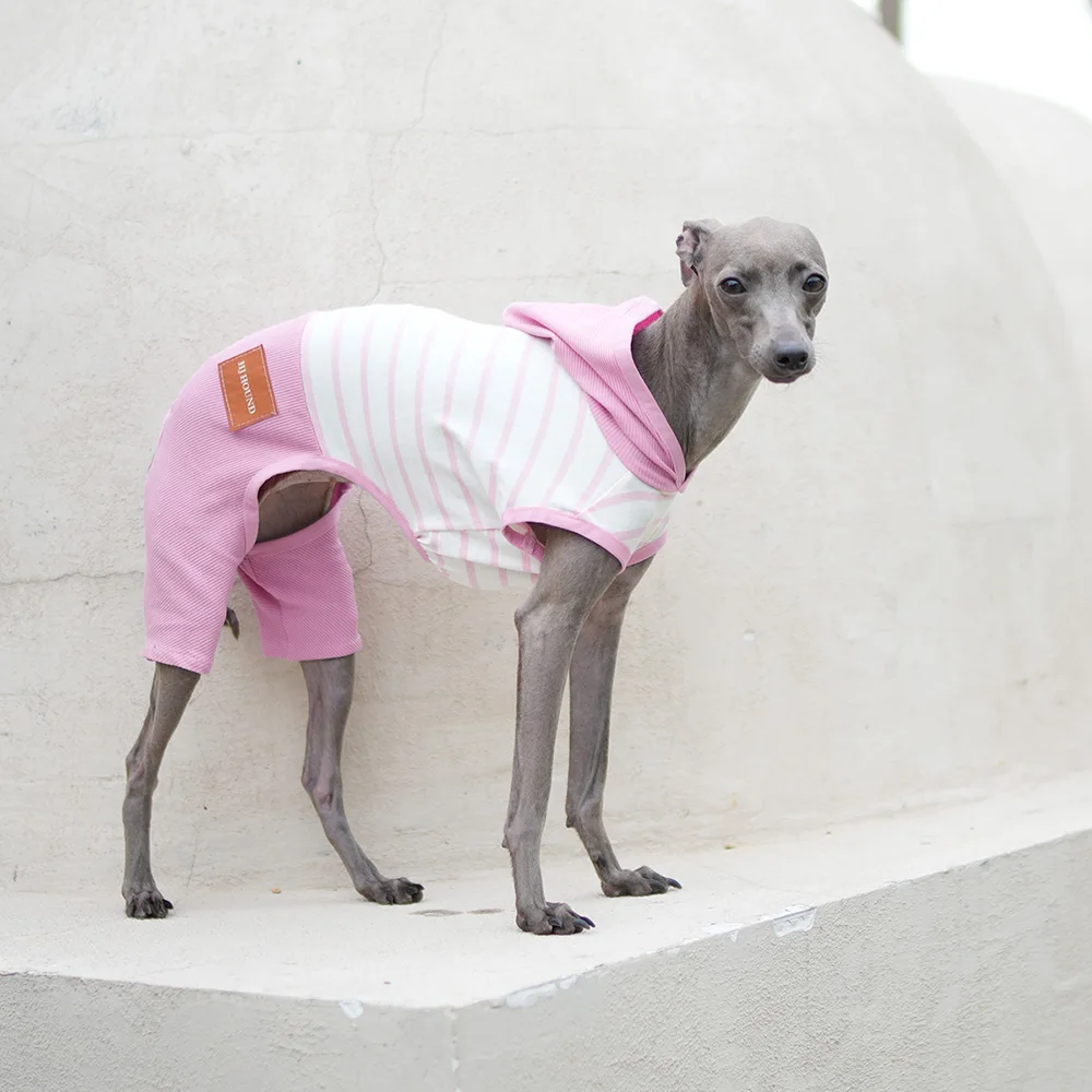 Ropa de rayas rosas para perros galgo italiano, mono de algodón de una pieza para primavera y verano, camiseta de alta elasticidad, pantalón para Whipbit