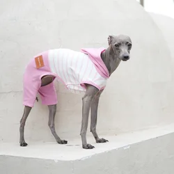 Mono de rayas para galgo italiano – Algodón elástico verano