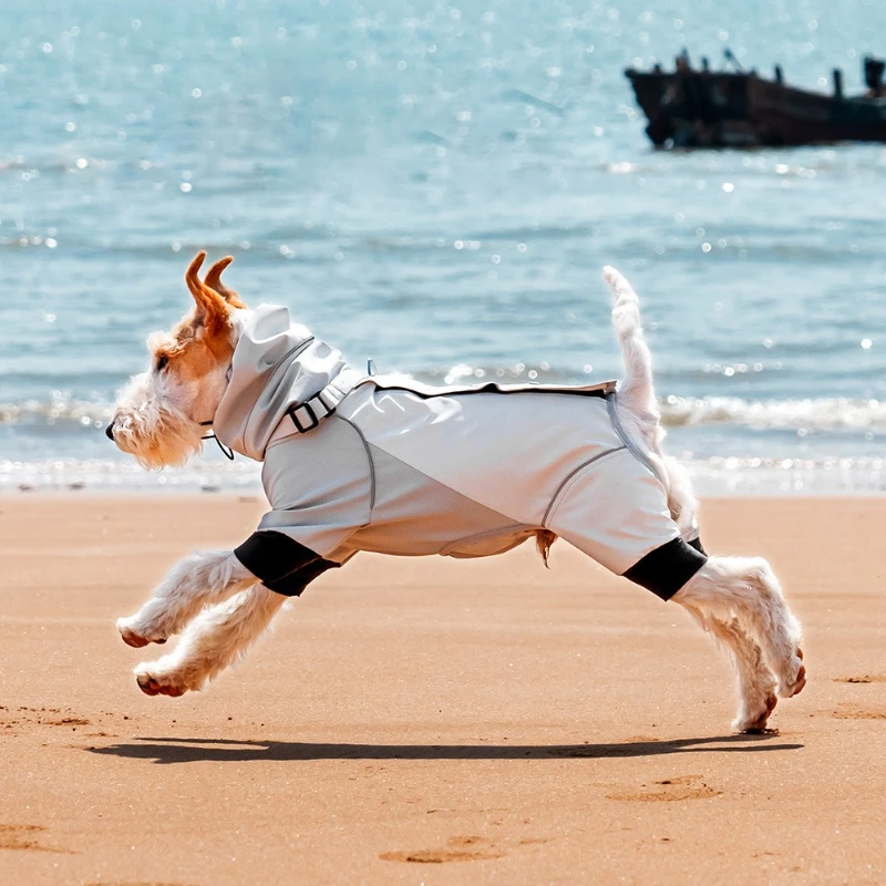 Ropa deportiva para perros, ropa para cachorros pequeños al aire libre, chaqueta impermeable para perros grandes, ropa, accesorios para mascotas, suministros de productos - imagen 4