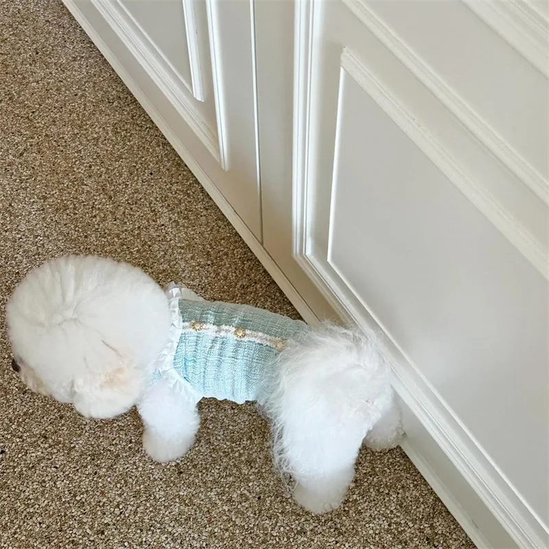 Nueva colección de primavera para mascotas, chaleco de princesa para gatos, bonito encaje con perlas, perro pequeño, ropa para cachorros, vestidos para perros pequeños - imagen 2