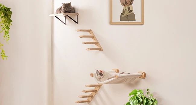 Conjunto completo de hamaca, escaleras y estante