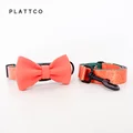 Bow Tie Collar Leash