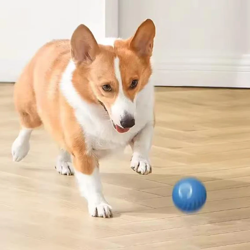 Juguetes inteligentes para perros, pelota para saltar por gravedad, pelota rodante recargable resistente a mordeduras, juguetes interactivos para perseguir gatos y perros - imagen 3