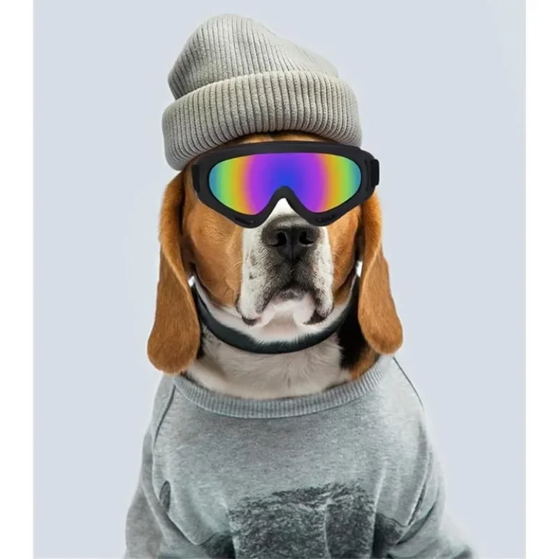 Productos para mascotas Gafas para perros grandes Protección contra el viento y la nieve Gafas de sol con protección UV Gafas para deportes al aire libre - imagen 3