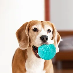 Pelota mordedora elástica para perros grandes con sonido dental