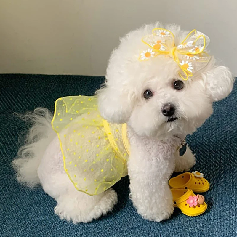 Vestido de princesa para perros y gatos – ligero y transpirable