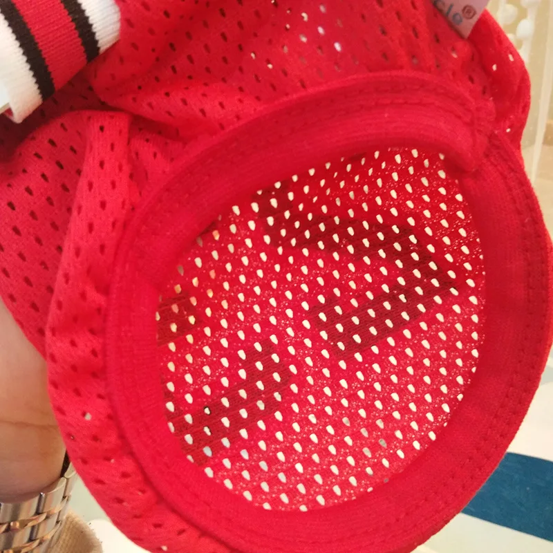 8886671952_950876428