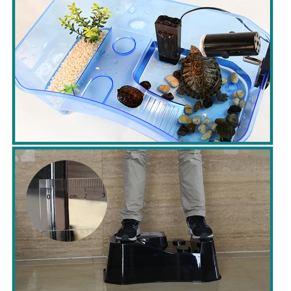 Reptile Amphibian Tortoise Turtle Tank Vivarium Terrarium Box for