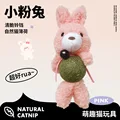 Pink rabbit