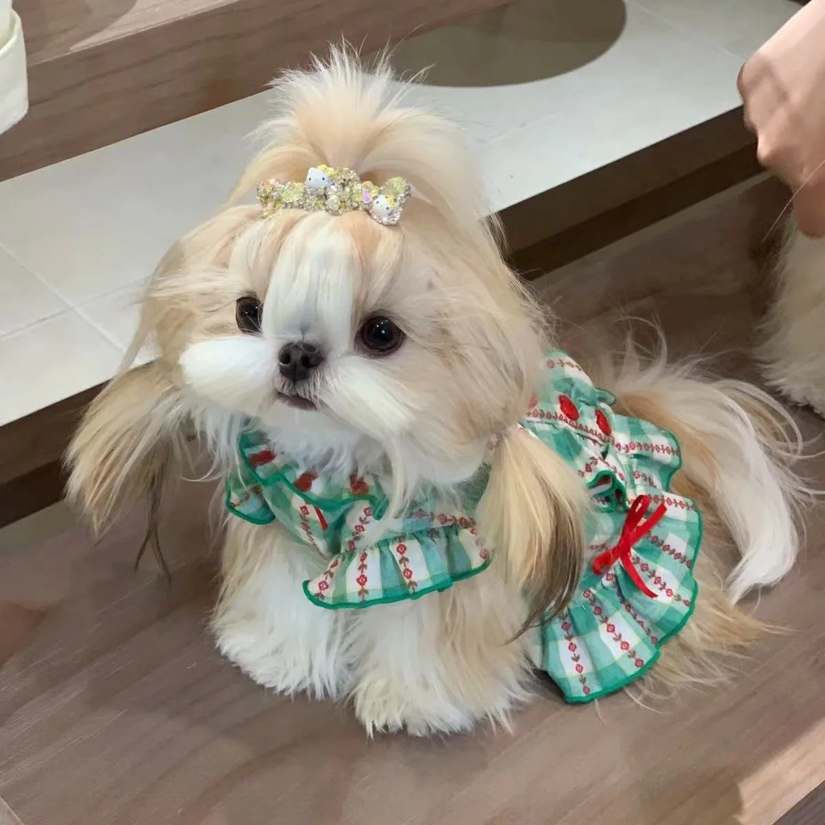 INS otoño amor camisa falda mascota vestido a cuadros chaleco para perro de peluche corbata de amor Picnic ropa para mascotas ropa para cachorros chaleco refrescante - imagen 5