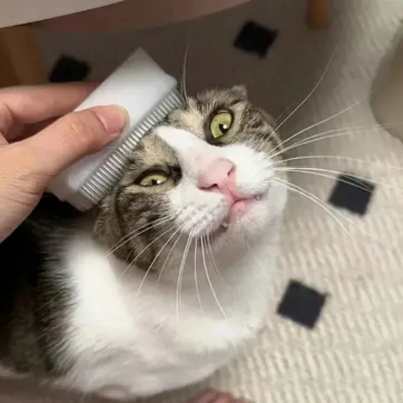 Cepillo masaje suave lengua gato doble cara esponja gatos y perros - imagen 2