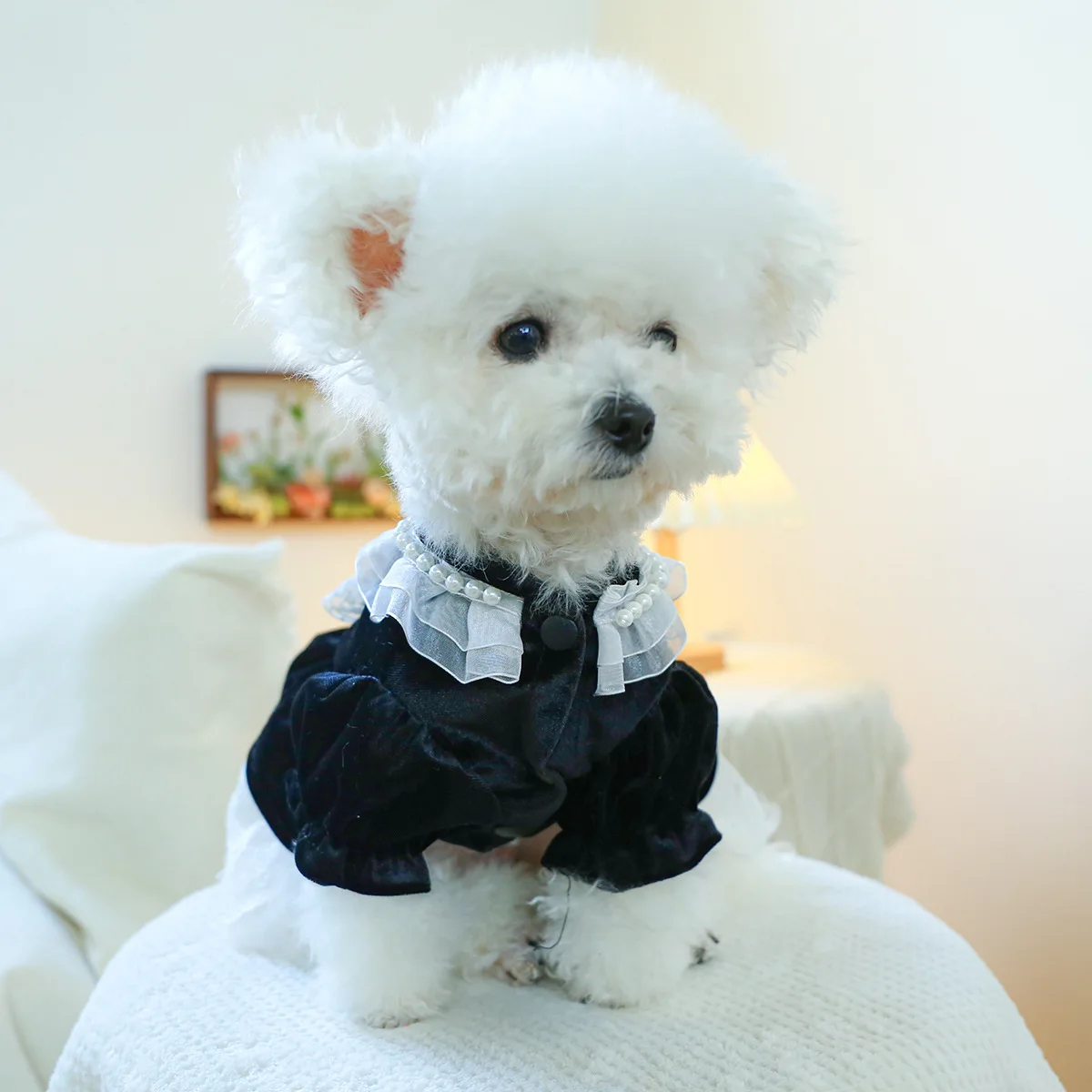 Vestido para mascotas Otoño/Invierno abrigo de Navidad ropa para gatos lazo borde de encaje vestido de princesa de terciopelo vestidos para perros pequeños - imagen 3