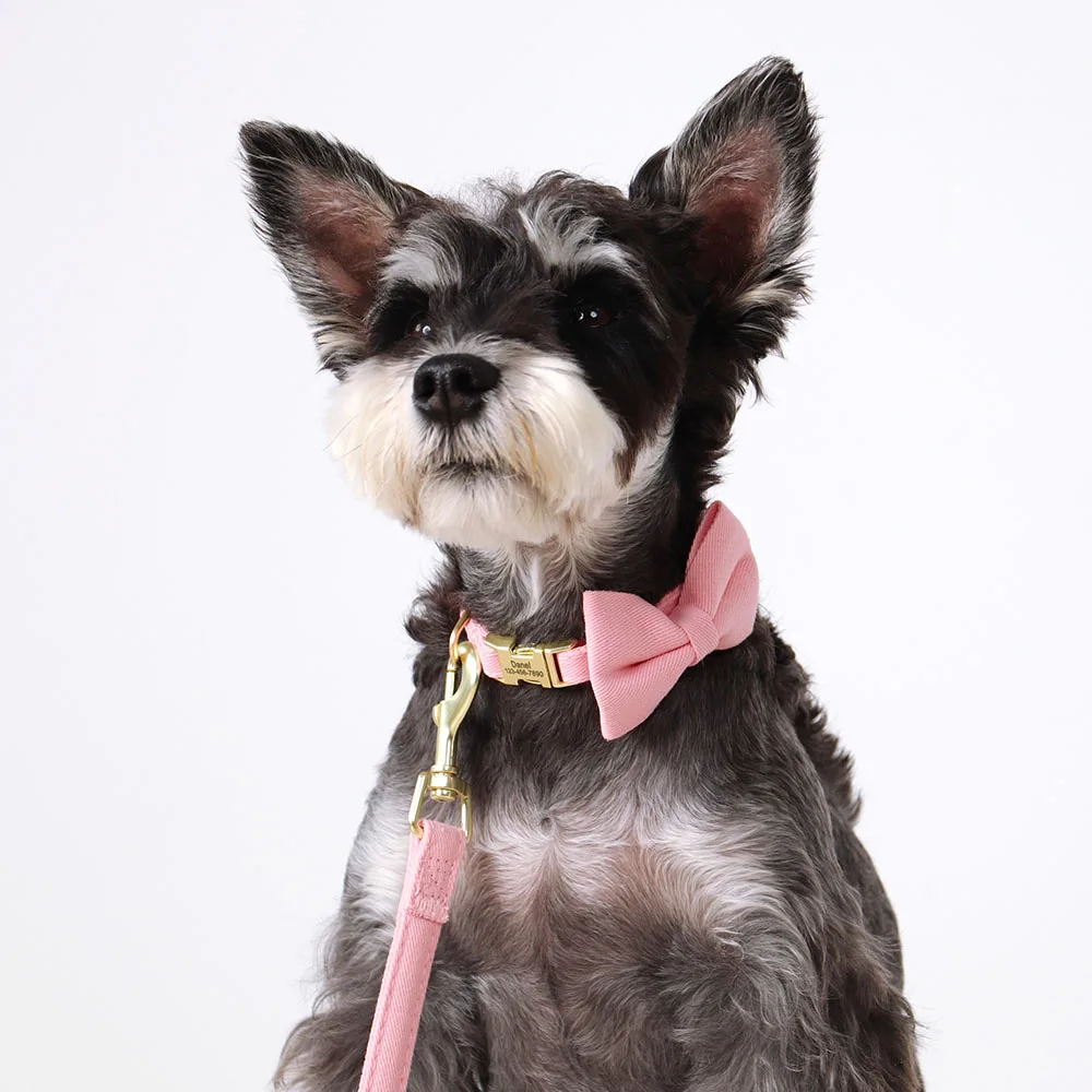 Collar de perro personalizado, pajarita bonita, collares de nailon para perro, Collar con hebilla para mascotas con grabado gratis para perros pequeños y medianos, accesorio con lazo - imagen 5