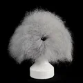 Head hair  gray