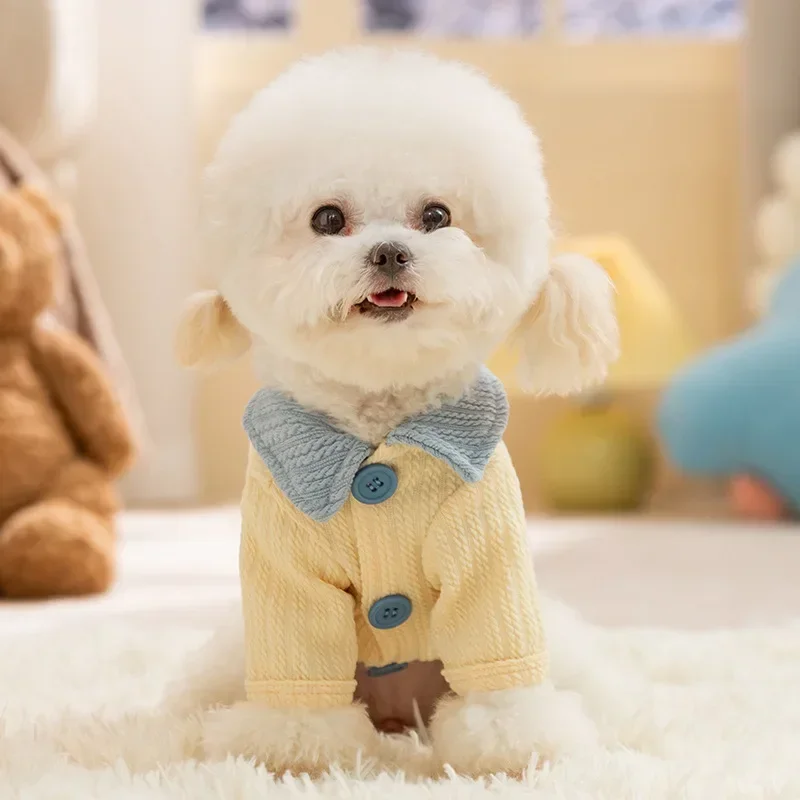 Camiseta invierno bloques color para gatos y perros mini – Dos patas - imagen 2