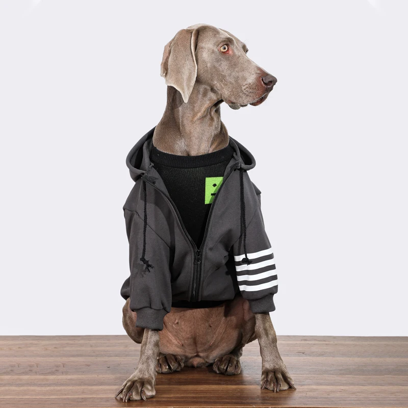Primavera fuera de perro grande Sudadera con capucha perro primavera ocio traje Golden Retriever Labrador trajes disfraz de moda para perros medianos y grandes - imagen 2