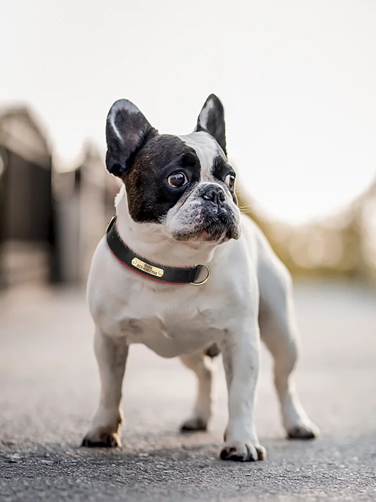 Collar de perro personalizado gratis, collares para perros acolchados suaves, Collar personalizado de cuero PU para mascotas, ajustable para perros pequeños, medianos y grandes, Pug - imagen 5