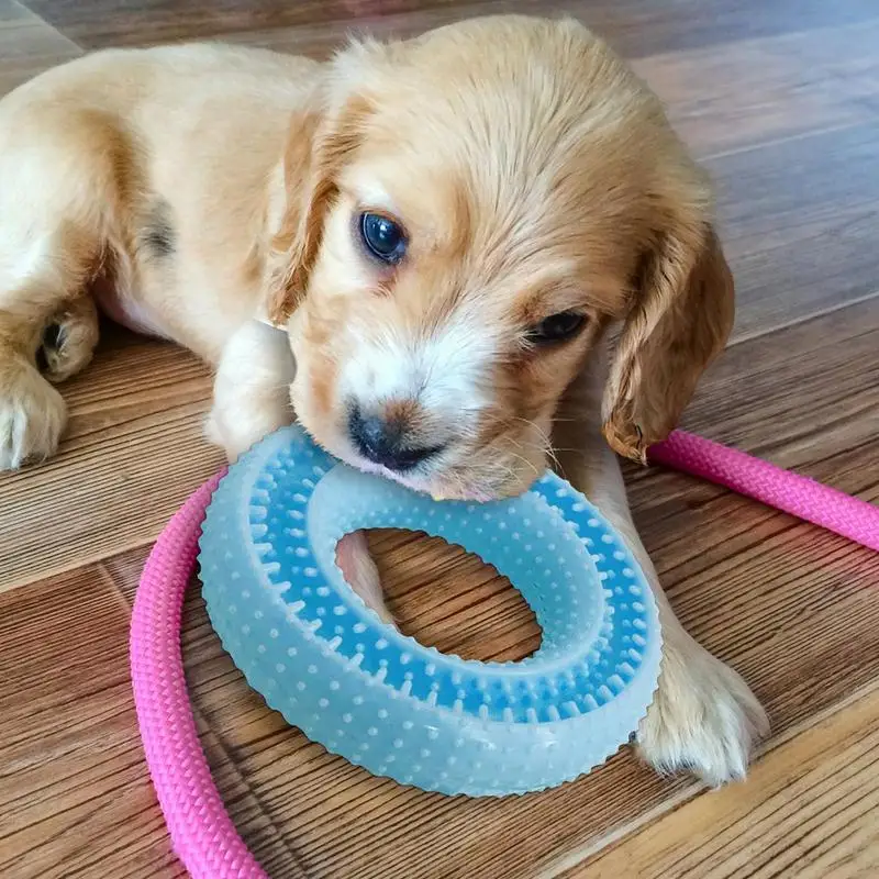 Juguete interactivo para perros pequeños y grandes, juguetes para masticar, limpieza de dientes, resistente a las mordeduras - imagen 4
