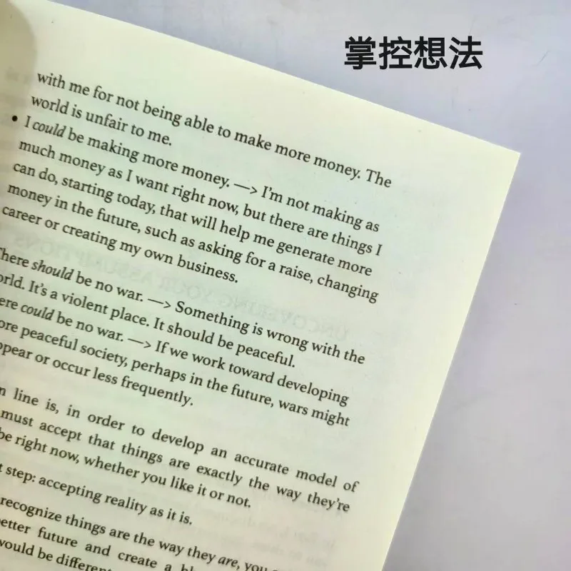 Controla tu pensamiento de Thibaut Meurisse, guía práctica para alinear con la realidad y conseguir resultados reales en el mundo Real - imagen 4