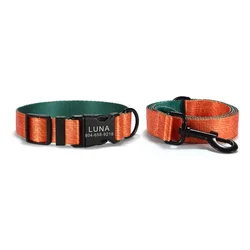 Collar personalizado para perro con correa a juego – Grabado gratuito naranja