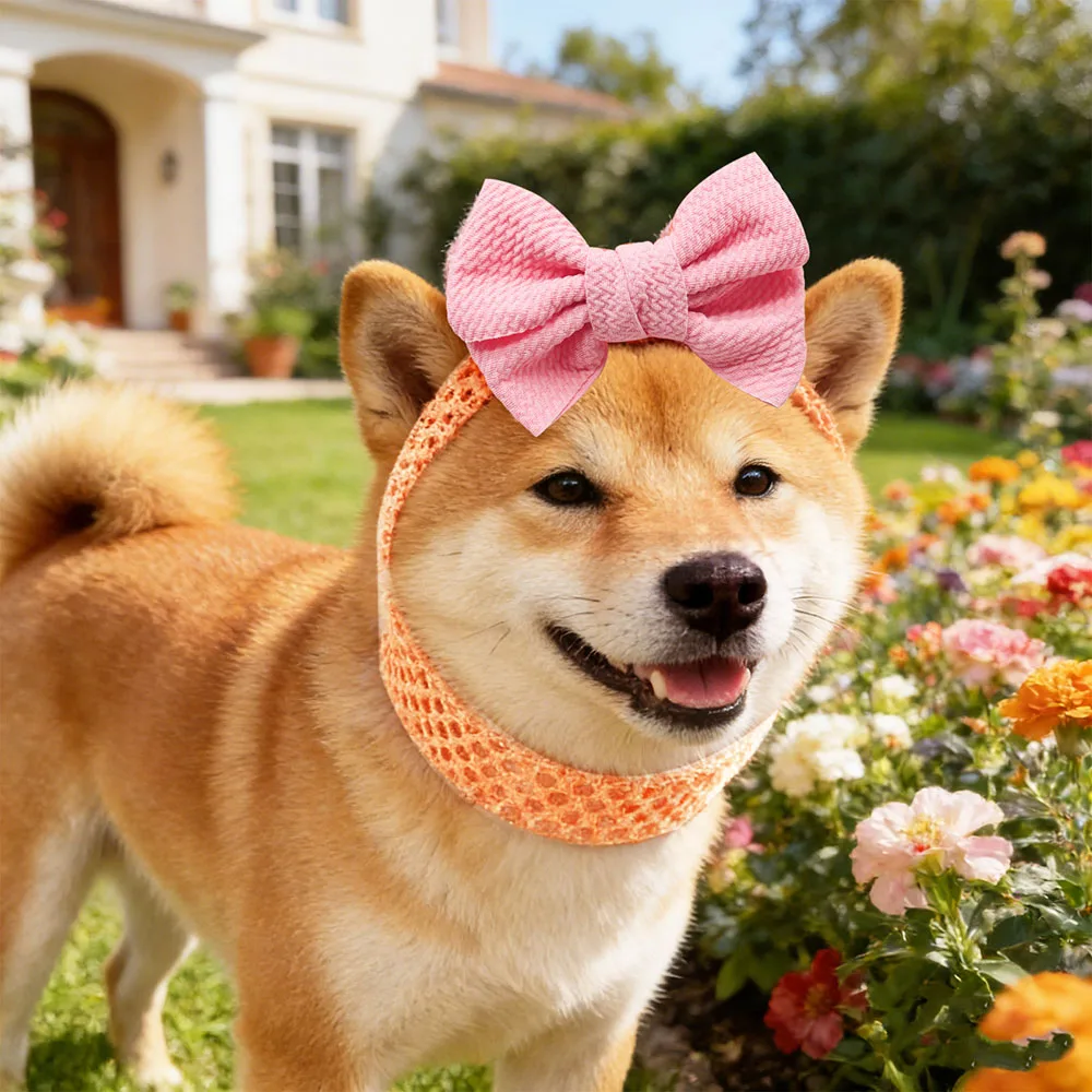Lazos elásticos para perro pelo coloridos grandes hechos a mano - imagen 4