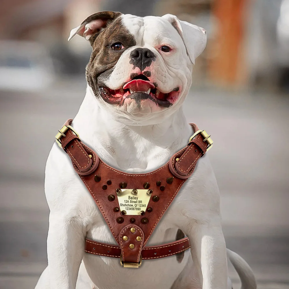 Arnés de cuero personalizado para perro, chaleco con tachuelas y pinchos, identificación personalizada, para perros medianos y grandes, Pitbull, Bulldog - imagen 5