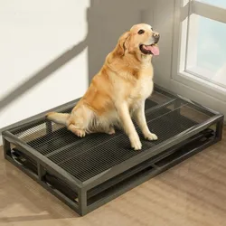 Kit de entrenamiento de baño para perros de acero resistente
