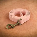 Pink Leash