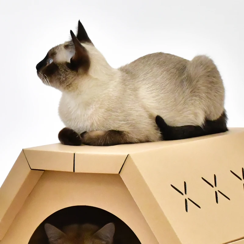 Salón rascador para gatos para interior, juguete rascador de cartón para gatos, casa de papel para gatos con almohadillas para rascar - imagen 4