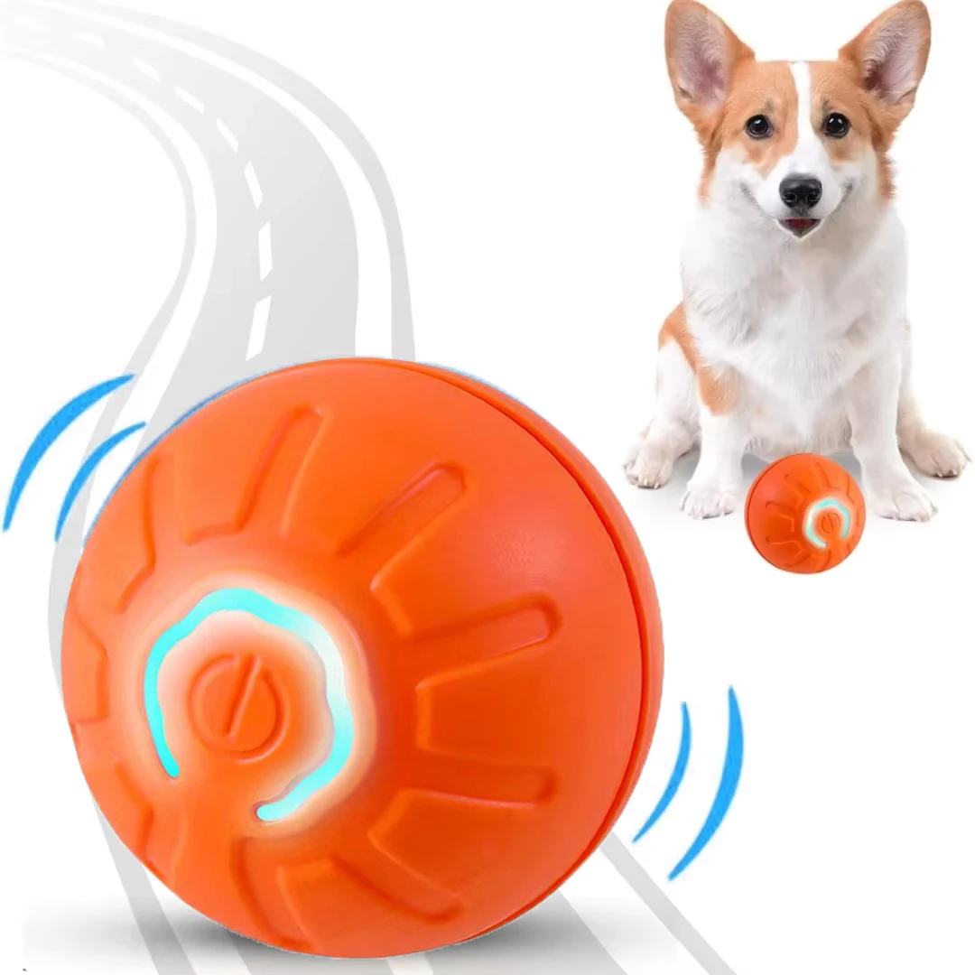 orange dog ball